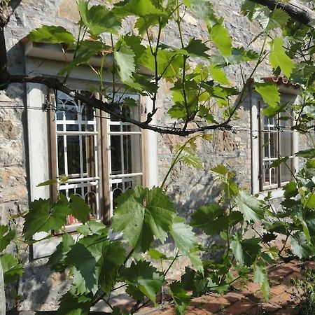 A Lovely House In Vipava Valley Екстер'єр фото