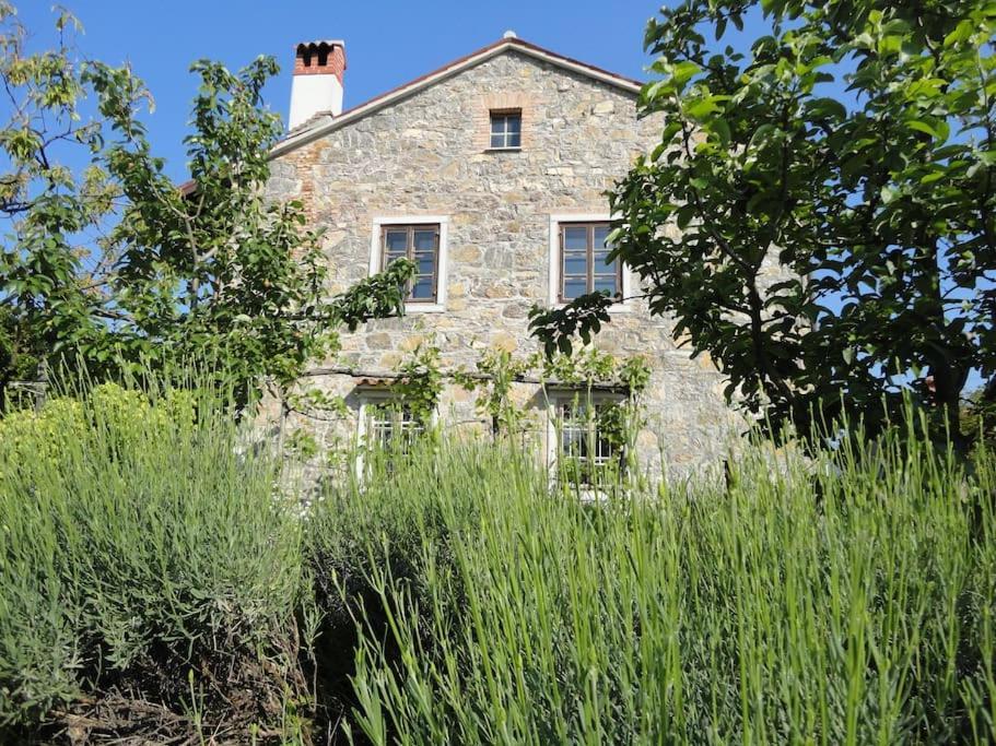 A Lovely House In Vipava Valley Екстер'єр фото