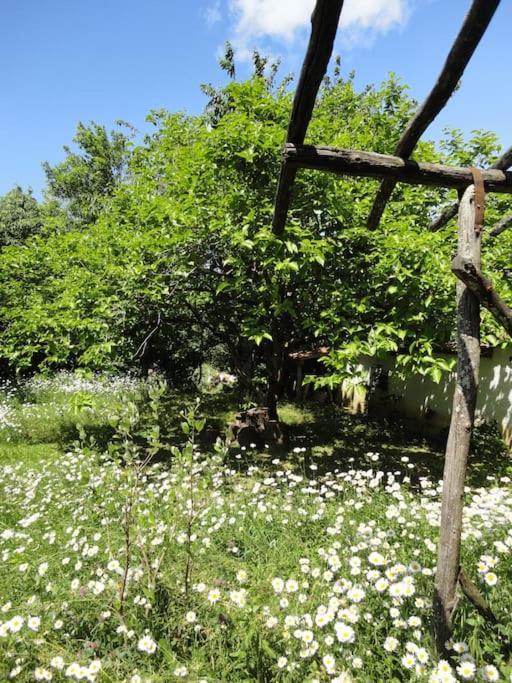 A Lovely House In Vipava Valley Екстер'єр фото