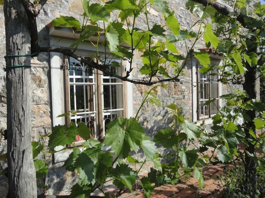 A Lovely House In Vipava Valley Екстер'єр фото