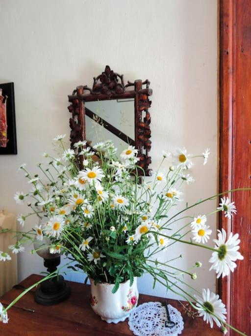 A Lovely House In Vipava Valley Екстер'єр фото